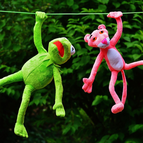 Capybara Cartoon Buddy